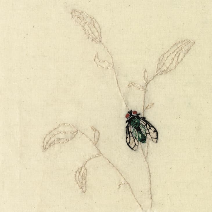 Mouche et feuilles brodées sur calicot